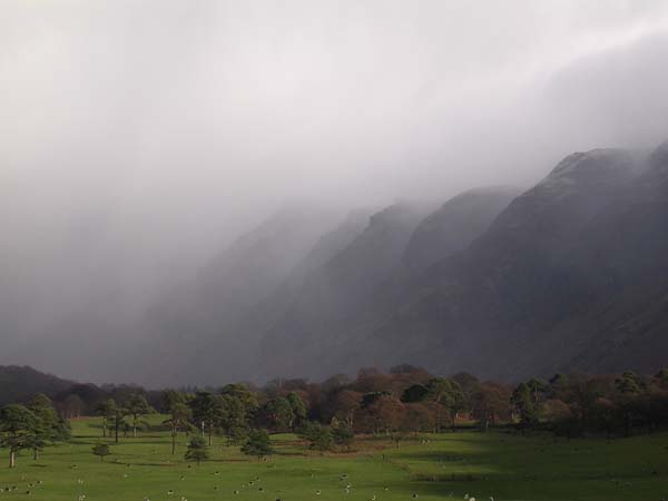           The Screes